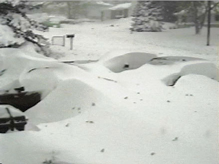 Four cars almost completely covered with snow